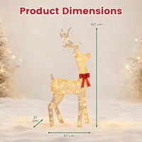 Lighted Golden Christmas Reindeer with 130 Warm Yellow LED Lights