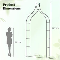 287cm Gothic Style Decorative Metal Garden Arch for Vine Rose Climbing