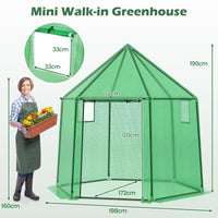 198 x 172 x 190cm Walk-in Greenhouse with PE Cover for Winter