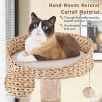 164cm Cattail Cat Tower, 6-Layer Cat Activity Center