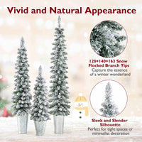 Set of 3 Snow-Flocked Christmas Tree with Silver Metal Buckets for Decoration