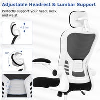 Giantex Ergonomic Mesh Office Chair with Adjustable Headrest