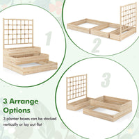 3-Tier Raised Garden Bed with Trellis and Elevated Planting Frame