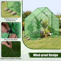 Giantex 6x3x5.5 FT Mini Walk-in Greenhouse, with Roll-up Zippered Door & Window