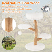 Modern Wood Branch Cat Tree with Jute Scratching Post and Padded Perch