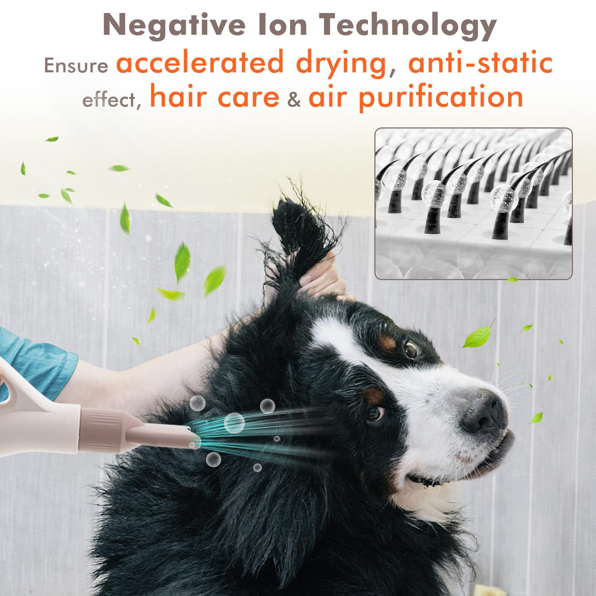 Dog Dryer, Dog Cat Hair Blower with Negative Ion Function, Adjustable Temperature & Airflow