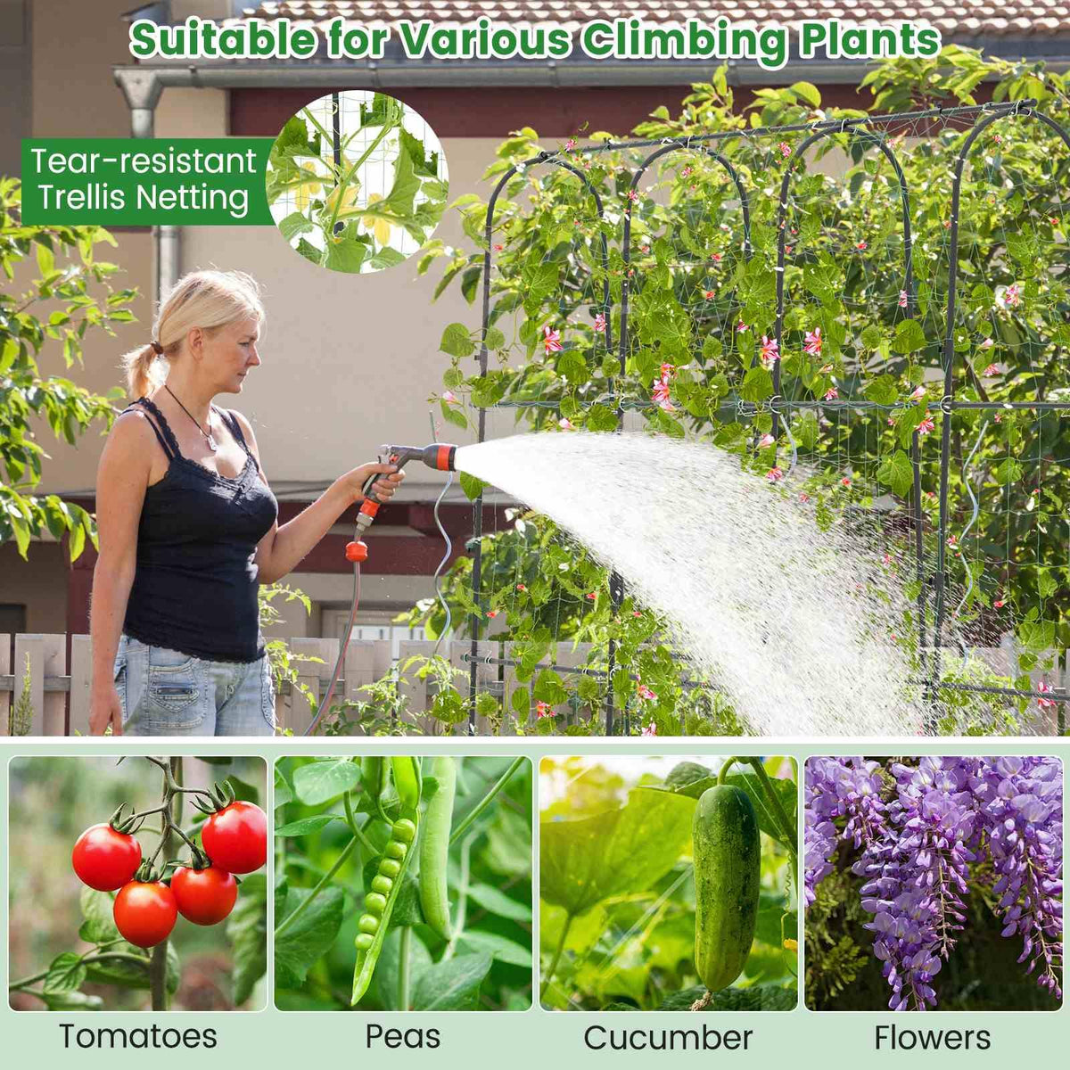 Garden Arched Trellis for Climbing Plants U-Shaped with Netting