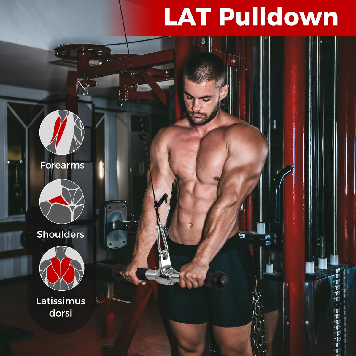Cable Machine Attachment Set, LAT Pulldown Attachments incl. V-Shaped Press Down Handle