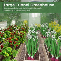 4x3x2m Outdoor Walk-in Tunnel Greenhouse 6 Roll-up Windows