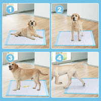 150Pcs Dog Training Pads, 75x75cm Training Puppy Training Pads with Super Absorbent & Leak-Proof