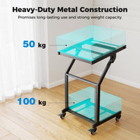 2 Layer Professional Audio Rack Mount with Lockable Wheels