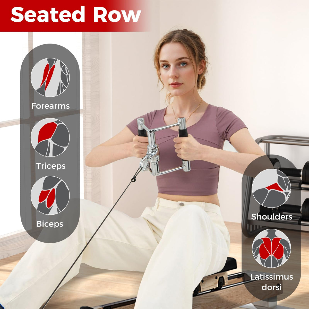 Cable Machine Attachment Set, LAT Pulldown Attachments incl. V-Shaped Press Down Handle