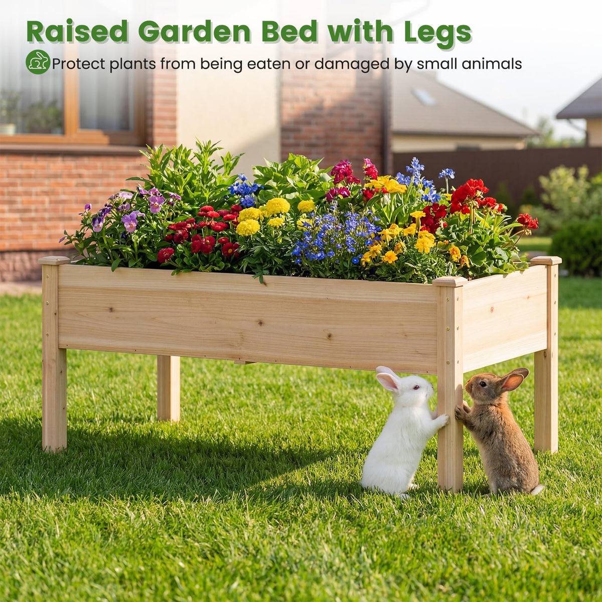 Wooden Raised Garden Bed with Legs, Natural Fir Wood Elevated Planter Box