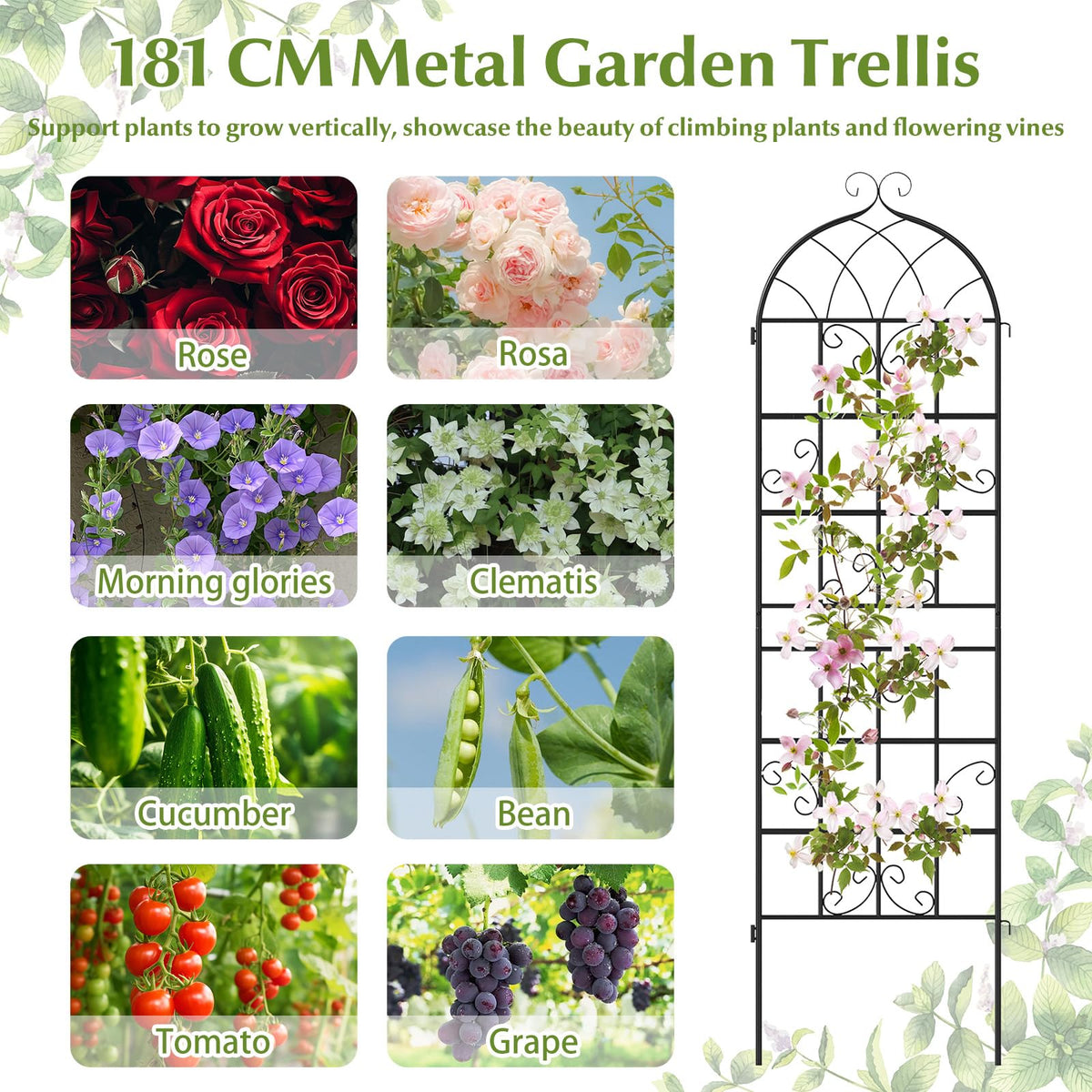2 Panles Metal Garden Trellis for Outdoor Climbing Plants