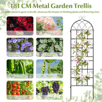 2 Panles Metal Garden Trellis for Outdoor Climbing Plants