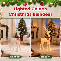 Lighted Golden Christmas Reindeer with 130 Warm Yellow LED Lights