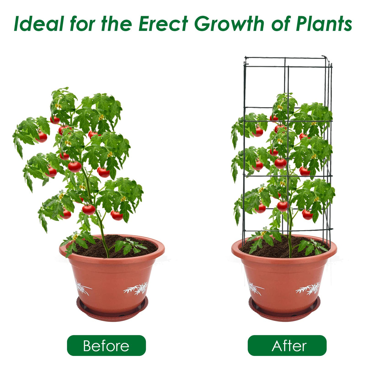 4 Pack Tomato Cage, Trellises for Climbing Plants, Peppers, Vines