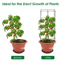4 Pack Tomato Cage, Trellises for Climbing Plants, Peppers, Vines