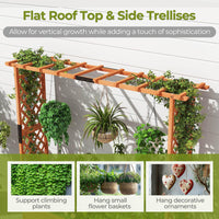 Raised Garden Bed with 2-Sided Trellis & Hanging Roof, Fir Wood Planter Box