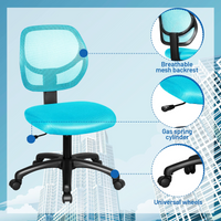 Ergonomic Low-Back Office Chair, Armless Computer Desk Chair, Swivel Mesh Computer Executive Chair