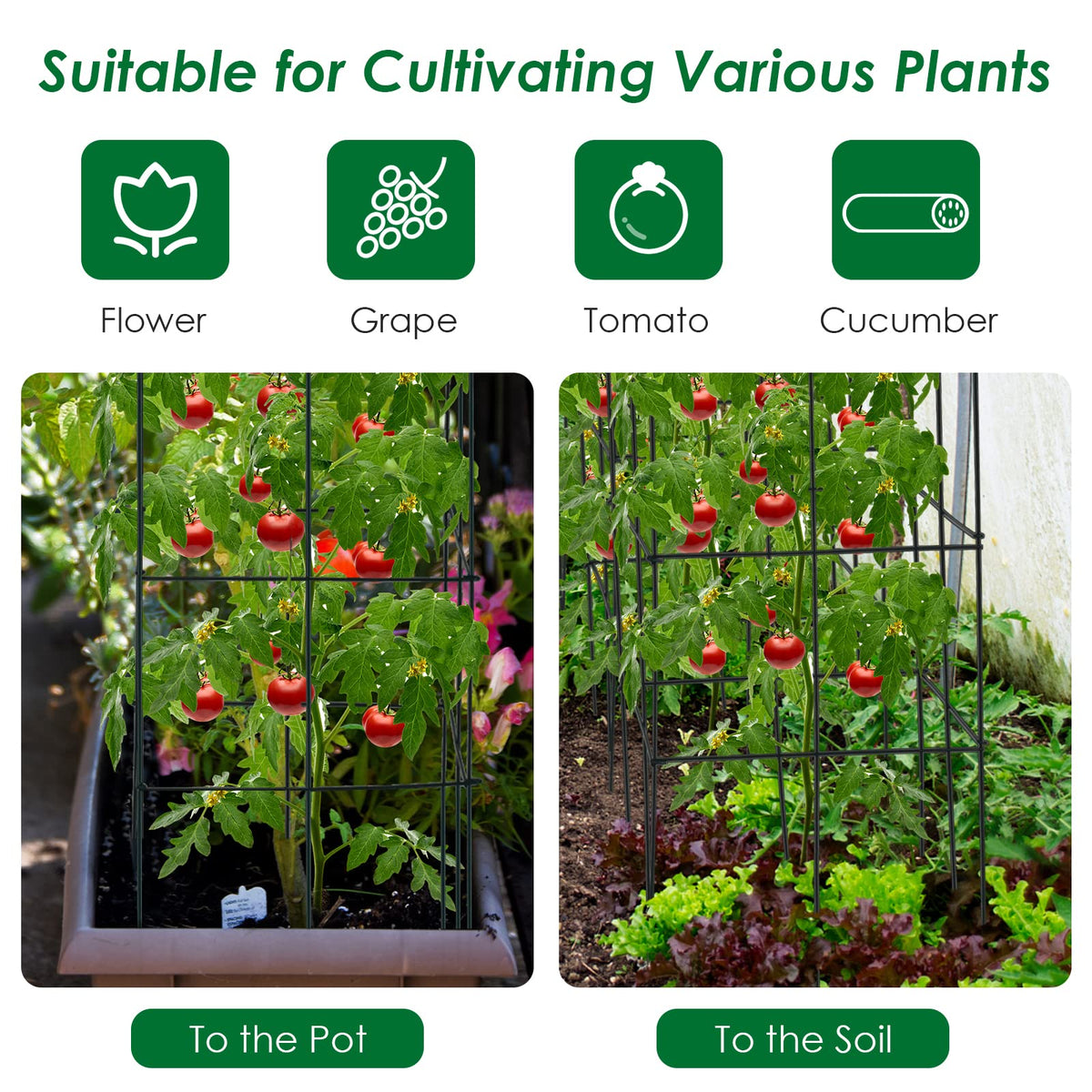 4 Pack Tomato Cage, Trellises for Climbing Plants, Peppers, Vines