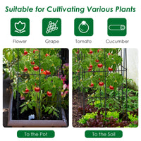 4 Pack Tomato Cage, Trellises for Climbing Plants, Peppers, Vines