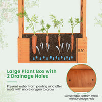 Giantex Raised Garden Bed with 2-Sided Trellis & Hanging Roof, 31" x 12.5" x 60"