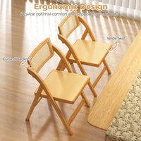 Rattan Cane Folding Chairs Set of 2