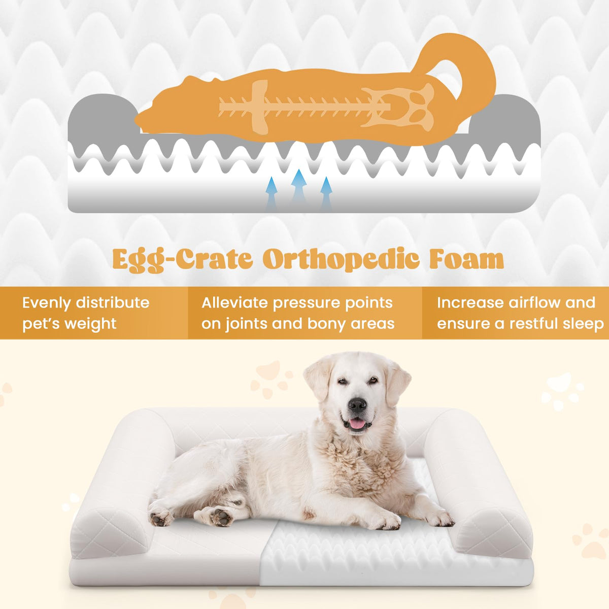 Orthopedic Dog Bed Medium Small Dogs