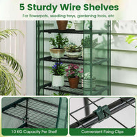 Mini Greenhouse Indoor Outdoor, Portable Plant Grow House with 5 Tier Shelves