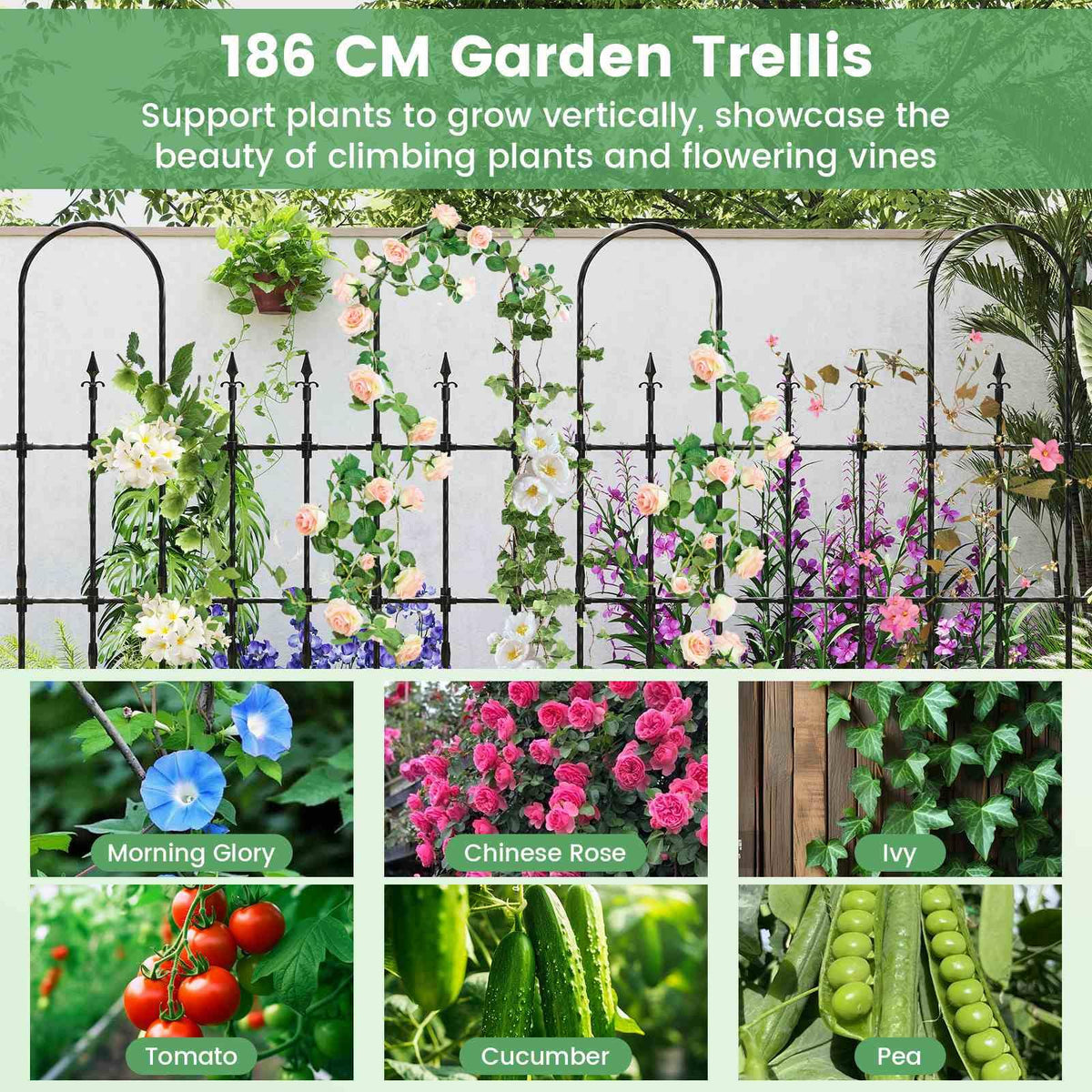 Decorative Garden Fence for Vegetable Flower Cucumber Tomato