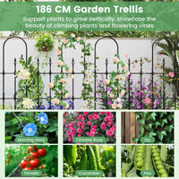 Decorative Garden Fence for Vegetable Flower Cucumber Tomato