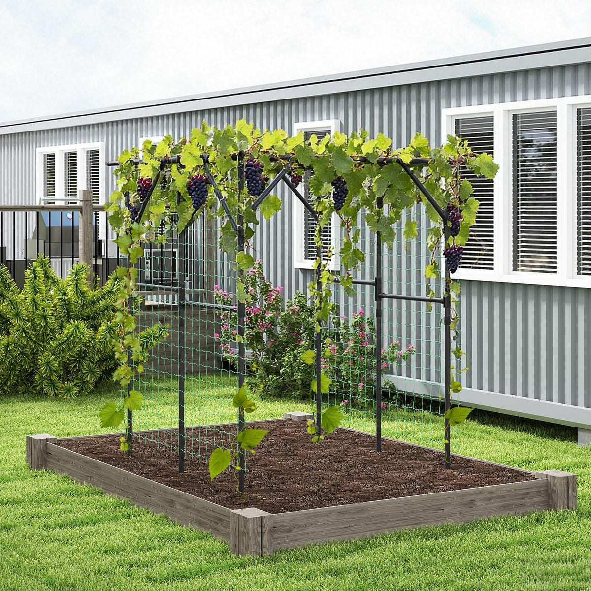 Large Garden Arch Trellis for Climbing Plants Outdoor