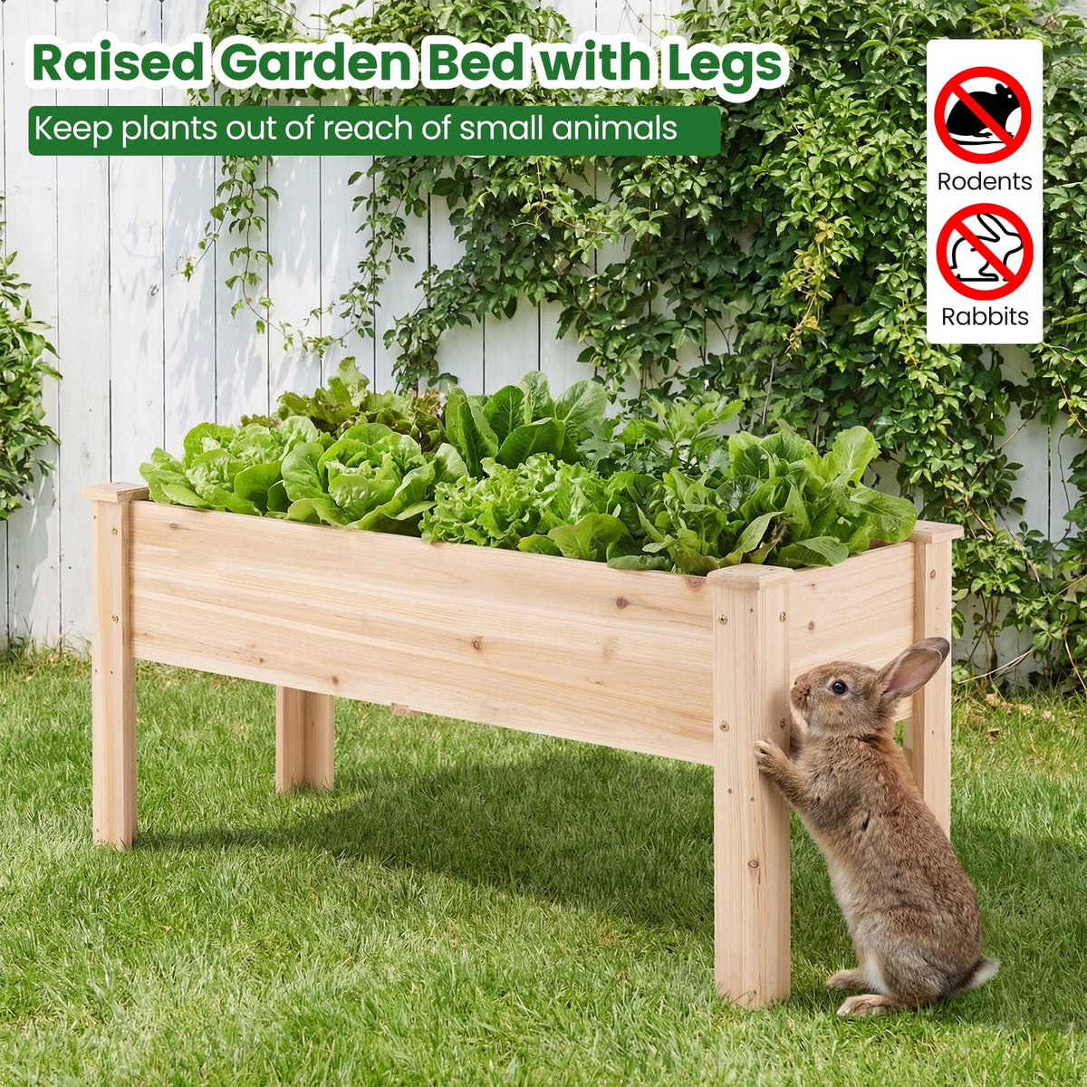 Wooden Raised Garden Bed with Legs and Drainage Holes