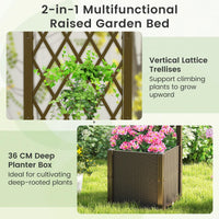 Raised Garden Bed with Trellis, Elevated Planter Box