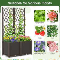 Elevated Planter Box with Trellis for Patio Balcony Vertical Garden