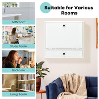 Floating Computer Desk with Storage Drawer & Shelves