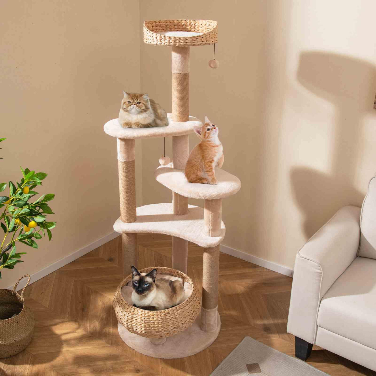 164cm Cattail Cat Tower, 6-Layer Cat Activity Center
