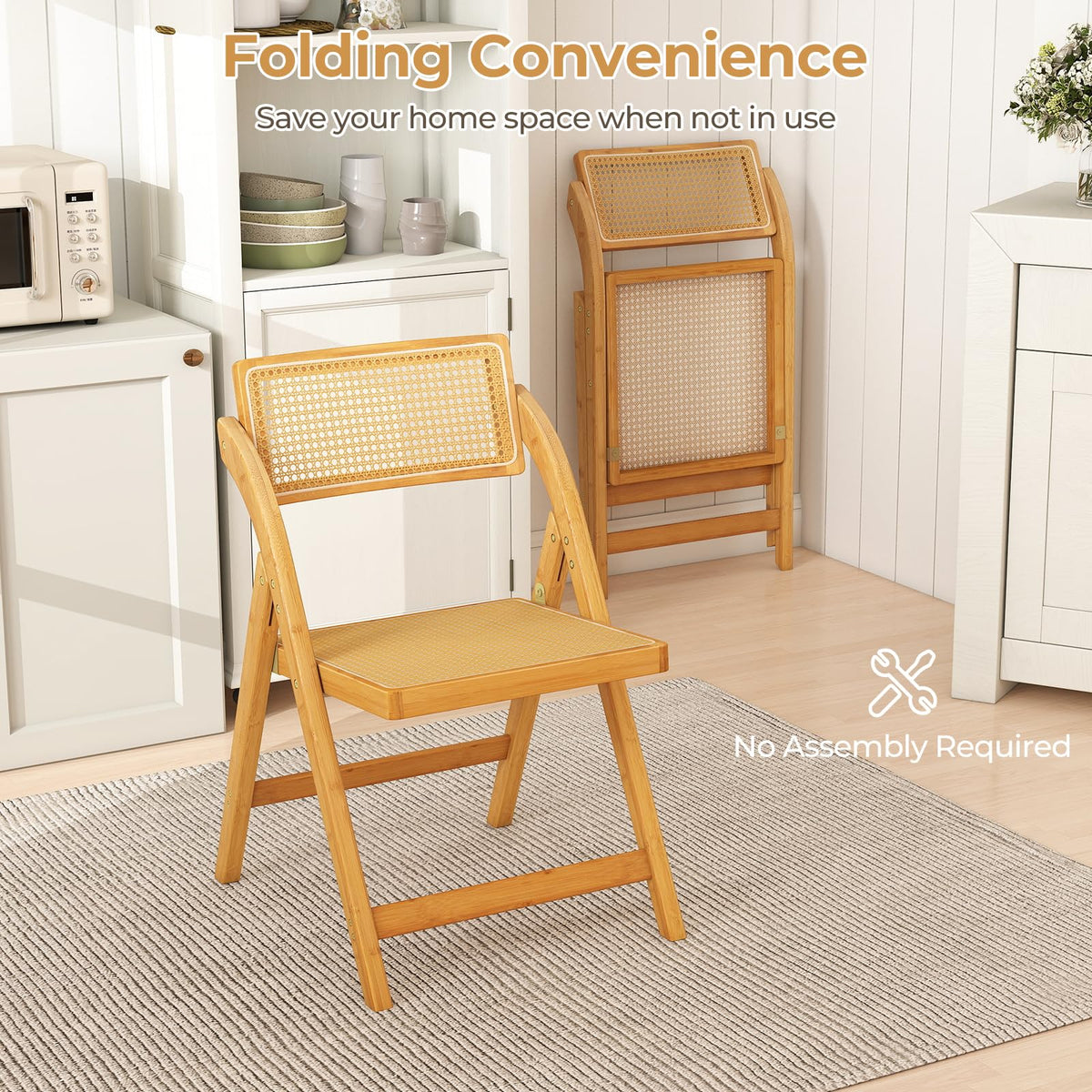 Rattan Cane Folding Chairs Set of 2