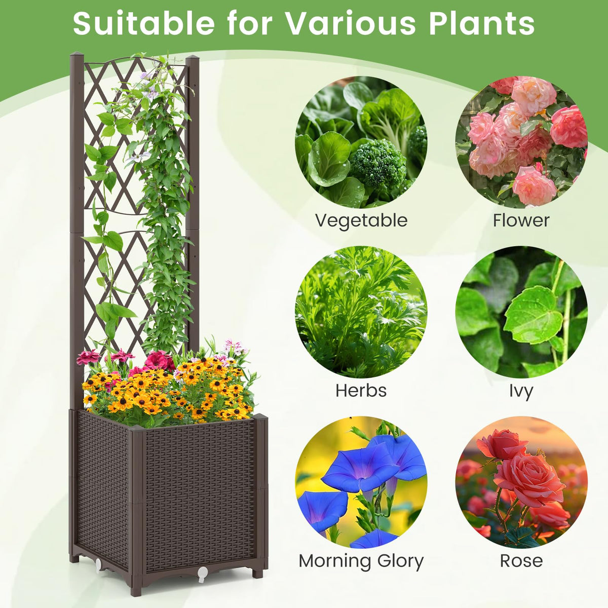 Raised Garden Bed with Trellis, Elevated Planter Box