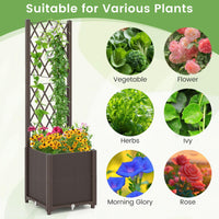 Raised Garden Bed with Trellis, Elevated Planter Box
