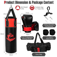 5 kg Kids Hanging Punching Bag Set w/ Punch Gloves, Suitable for 3+ Boys & Girls