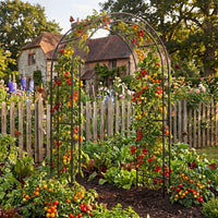 Heavy Duty Garden Arch with Floral Patterns for Climbing Plants