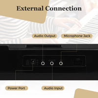 61 Keys Portable Keyboard for Beginners, Electric Piano Keyboard Kit