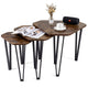 Irregular Hexagonal Sofa Side Table Set with Thick Tabletop and Metal Frame
