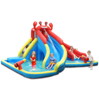 Inflatable Water Slide with Climbing Wall