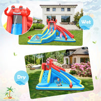 Inflatable Water Slide with Climbing Wall