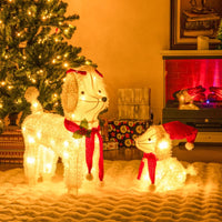 Pre-lit Mama and Baby Poodle Dogs with 60 Warm White LED Lights