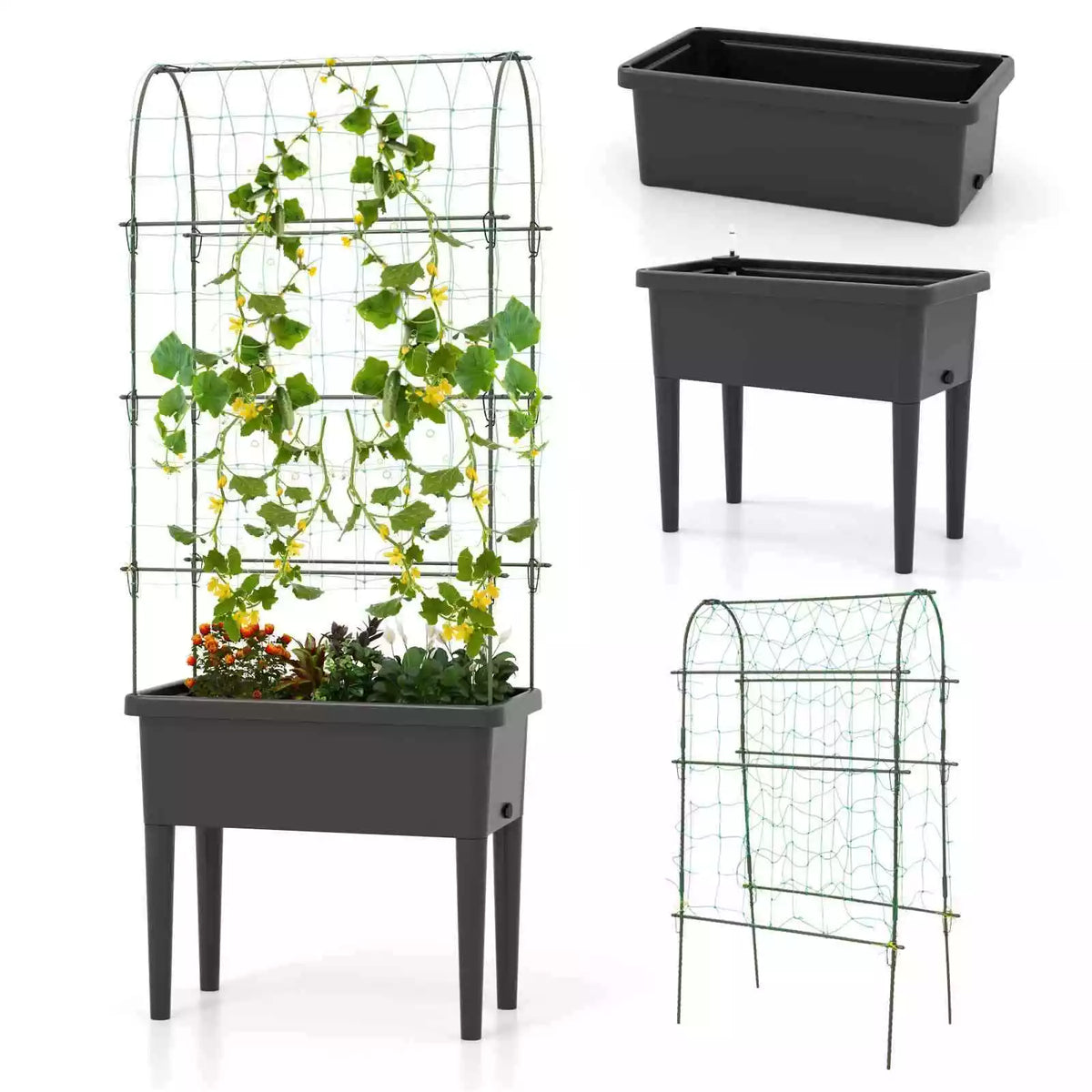 Self-watering Raised Garden Bed Elevated Planter w/Climbing Trellis Herbs Fruits