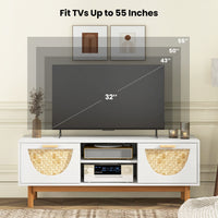 TV Stand for 55-Inch TVs Modern Entertainment Center TV Console Media Cabinet